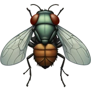 Fly on wall sticker