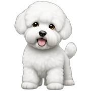 bichon frise sticker