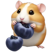 Hamster eating blueberry sticker