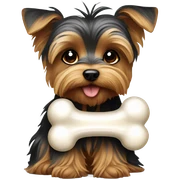 Yorkie with a bone  sticker