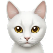 White cat sticker