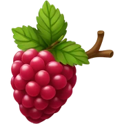 raspberry  sticker