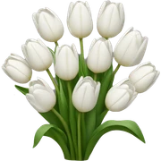 white tulip bouquet  sticker