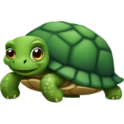turtle sticker