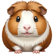 Meerschweinchen  sticker