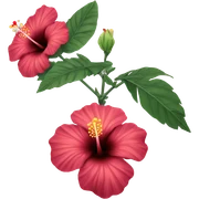 Hibiscus sticker