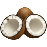 COCONUT sticker