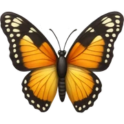 Butterfly  sticker