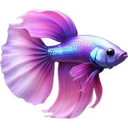 Pretty iridescent long fin betta fish blue and purple pink facing left realistic sticker