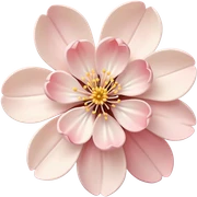 Cream coloured Sakura  sticker