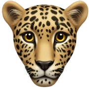 leopard heart sticker