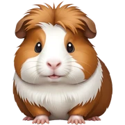 Meerschweinchen  sticker