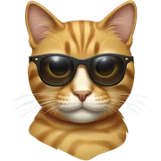 Cat with sunglasses sticker