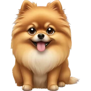 POMERANIAN sticker