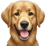 Hovawart sticker