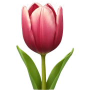 Tulip  sticker