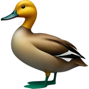 duck sticker