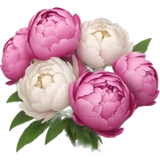 Peonies bouquet sticker