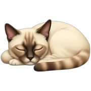 siamese cat sleeping sticker