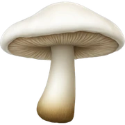 mushroom white¨ sticker