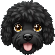Black fluffy dog  sticker