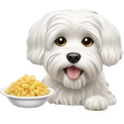 Maltese dog eating  sticker