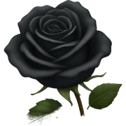black rose sticker