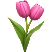 Pink tulips with a bow sticker