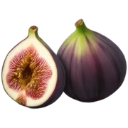 Figs sticker