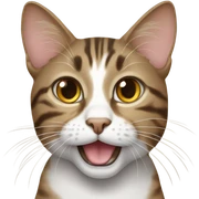Tabby cat sticker