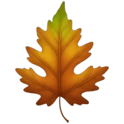 autumn leaf sticker