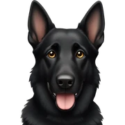 Black German shepherd  sticker
