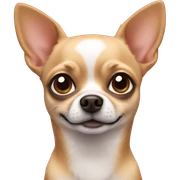 Chihuahua sticker