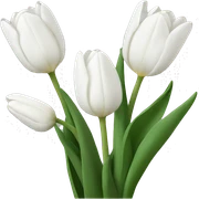 White tulips  sticker