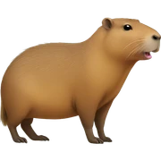 Capybara sticker