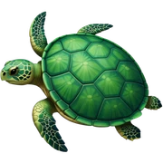 Turtles sticker