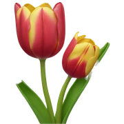 tulip sticker