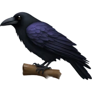 raven sticker