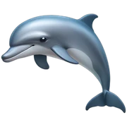 dolphin sticker
