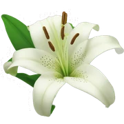 Lily sticker