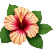 hibiscus sticker