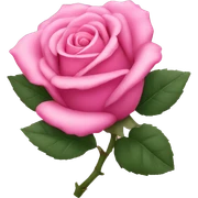 Pink rose sticker