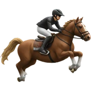 rider sticker
