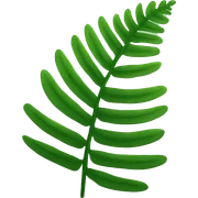 Fern sticker