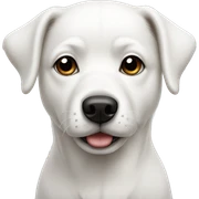white dog with white and black nose sticker