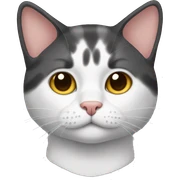 Cat sticker
