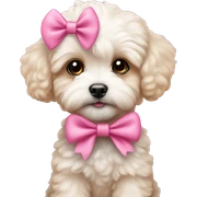 maltipoo puppy with a pink bow sticker