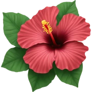 hibiscus sticker