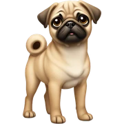Fawn pug puppy standing sticker