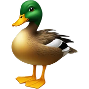 Duck sticker